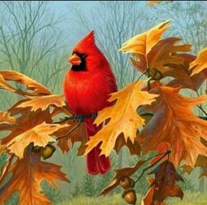 Meet your Posher, Sheryle